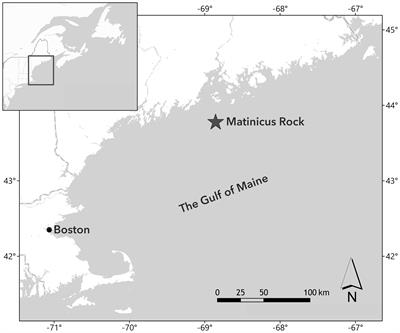Multiple methods of diet assessment reveal differences in Atlantic puffin diet between ages, breeding stages, and years